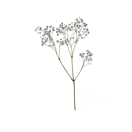 babys breath png - Google Search