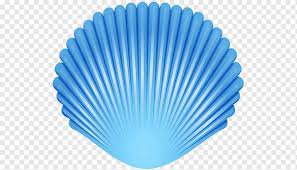 blue shell png ocean - Google Search