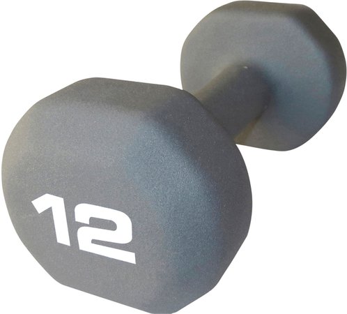 Fitness Gear Neoprene Dumbbell | Free Curbside Pickup at DICK'S