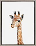 Amazon.com: Kate and Laurel Sylvie Baby Giraffe Animal Print Portrait Framed Canvas Wall Art by Amy Peterson, 18x24 Natural: Posters & Prints