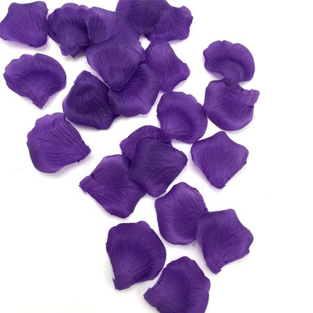 purple flower petals