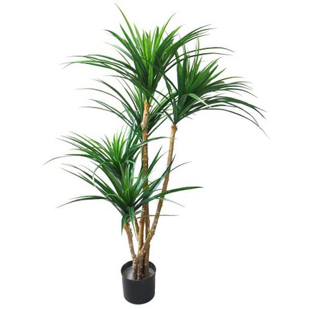 Artificial Tropical Yucana Tree with Rubber Leaves and Natural Trunk, Fake Plant for Indoor-Outdoor Home Décor-51-Inch Tall Topiary by Pure Garden | For Your Corner