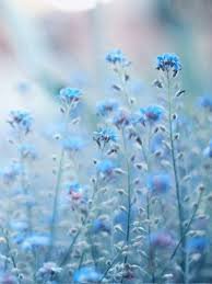 aesthetic blue things - Google Search