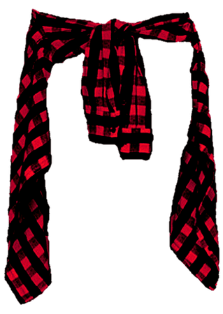 Flannel shirt PNG