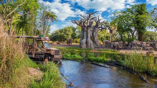 Kilimanjaro Safaris | Animal Kingdom Attractions | Walt Disney World Resort
