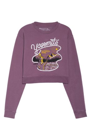 Parks Project Yosemite Lasso Graphic Crop Pullover | Nordstrom