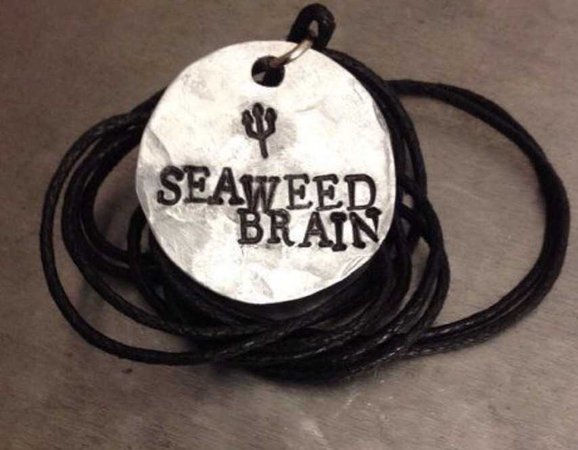 seaweed brain