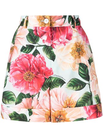 Dolce & Gabbana floral-print high-waist shorts