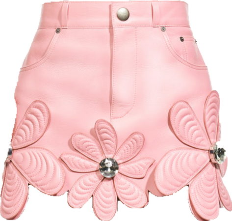 area pink skirt