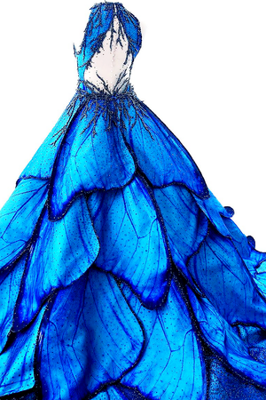 Blue and black floor length butterfly dress