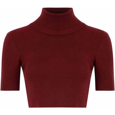 red cropped turtleneck