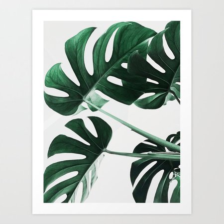 Monstera, Leaves, Plant, Green, Scandinavian, Minimal, Modern, Wall art Art Print by scandihome | Society6
