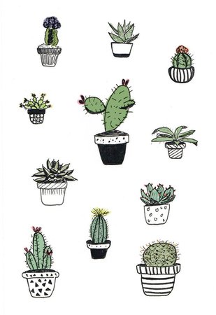 Library of aesthetic cactus picture library png files ►►► Clipart Art 2019