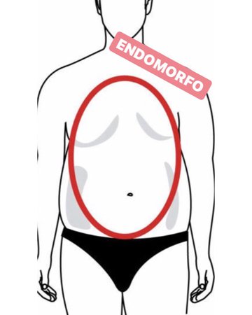 Cuerpo endomorfo