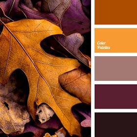Color Palette Fall Autumn