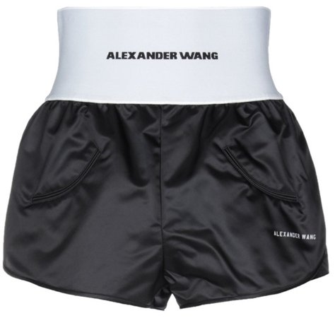 Alexander wang shorts & Bermuda