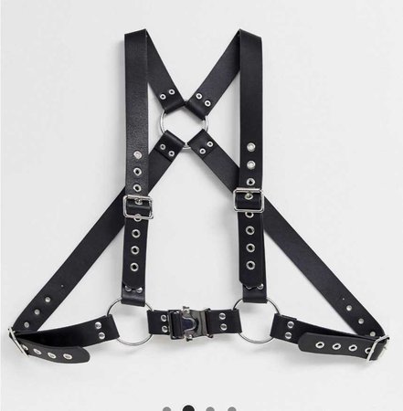 leather belt harness