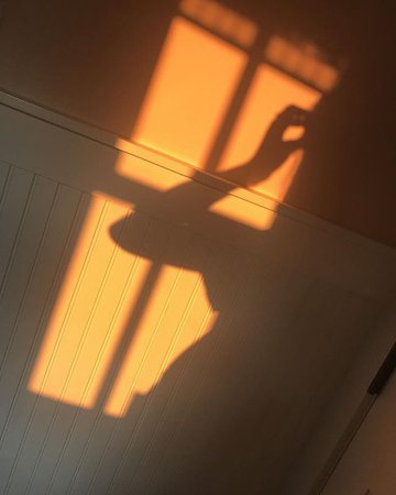 golden hour shadow