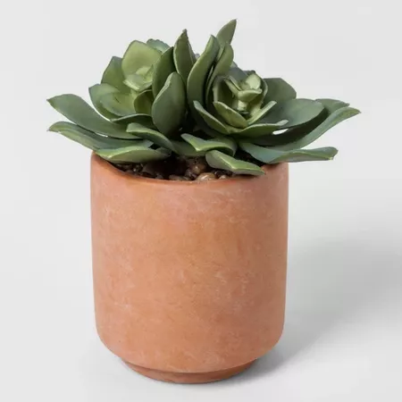 Faux Succulent in Terracotta Pot - Project 62 : Target