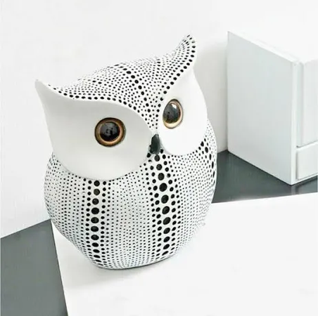 Black & White Owl