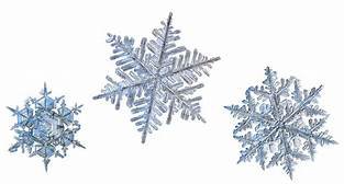 snowflakes - Yahoo Image Search Results
