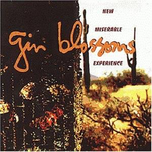 Gin Blossoms music 1990s