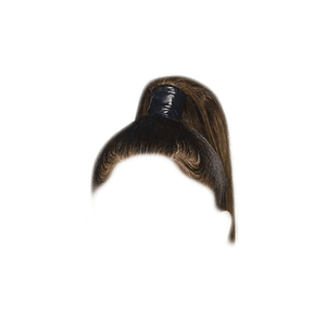 Brown Hair Ponytail PNG