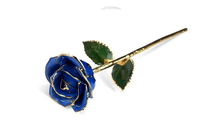 Eternity Dark Blue Rose
