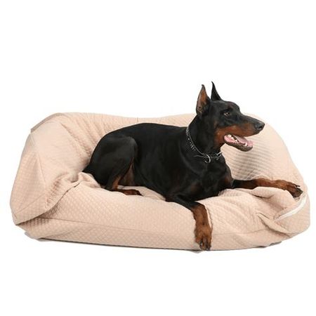 dog in dog bed image at DuckDuckGo