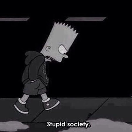 stupid society