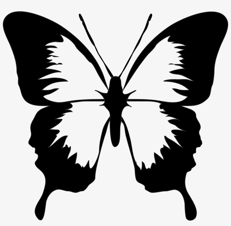 png black butterfly