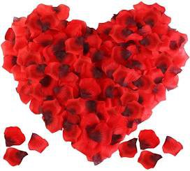 red rose petals - Google Search