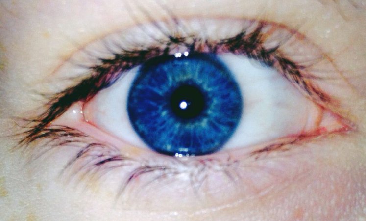 dark blue eyes - Google Search