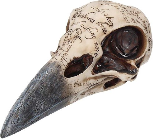 Nemesis Now Edgar's Raven Edgar Allan Poe Bird Skull Decorative 21cm Multi: Amazon.ca: Home & Kitchen
