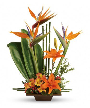 Exotic Grace Floral Bouquet Milwaukee (WI) Same-day Delivery