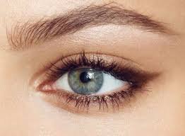 subtle brown winged eyeliner - Google Search