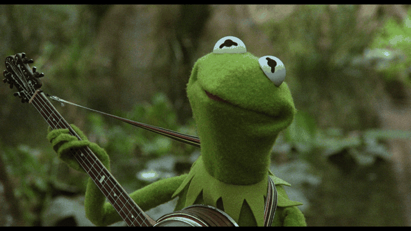 kermit the frog movie 1979 at DuckDuckGo