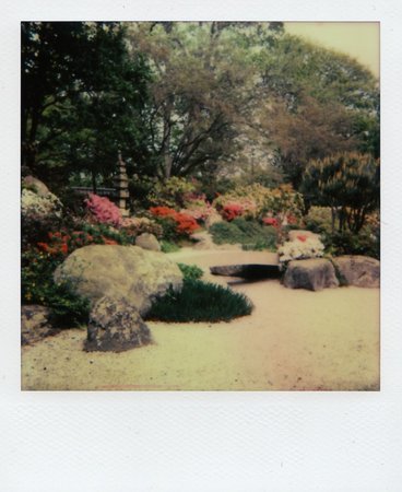 Japanese garden polaroid