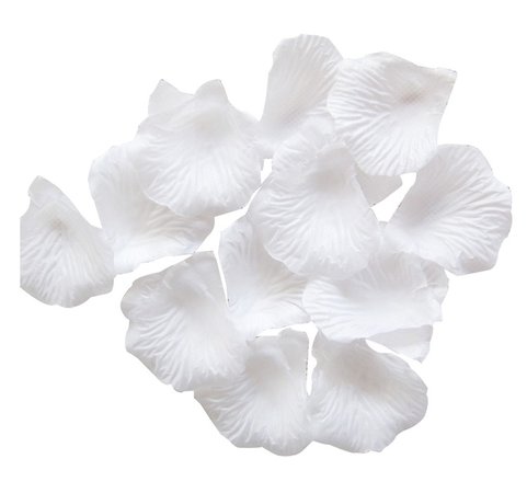 white flower petals