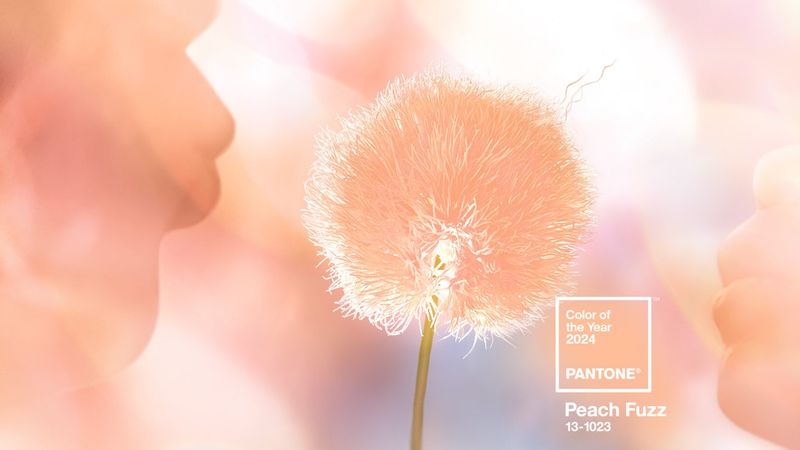 peach fuzz pantone graphic 2024