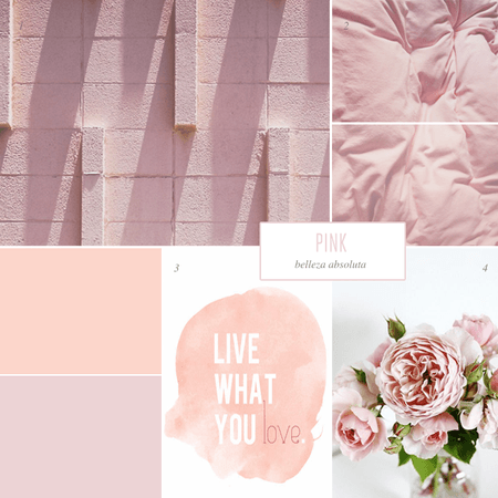 MOODBOARD+PINK.png (660×660)