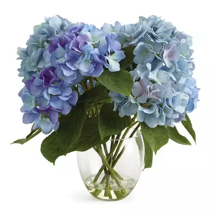 Primrue Hydrangea Floral Arrangement in Vase | Wayfair