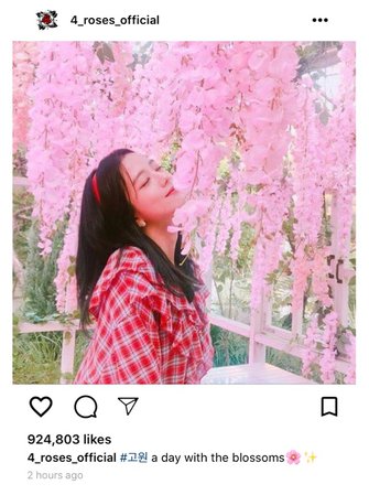 Gowon instagram