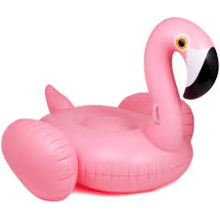 Pink Flamingo Buoy – MyFrenchBikini