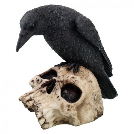 horror crow - Google Search