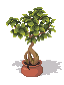 Pixel art Ficus Ginseng for Pixel Dailies by ritamertens on DeviantArt