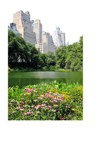 lake Central Park New York City travel png spring background