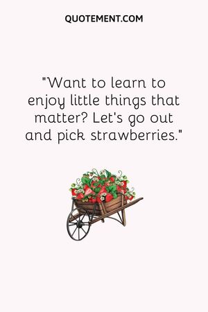 Strawberry Quote