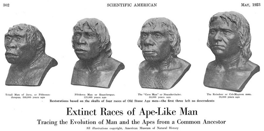 america right neanderthal - Google Search
