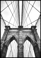 Affischer med fotokonst Brooklyn bridge | Tavla med arkitektur